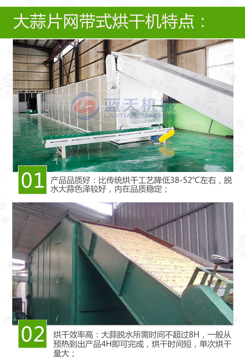  大蒜片網(wǎng)帶烘干機(jī)特點