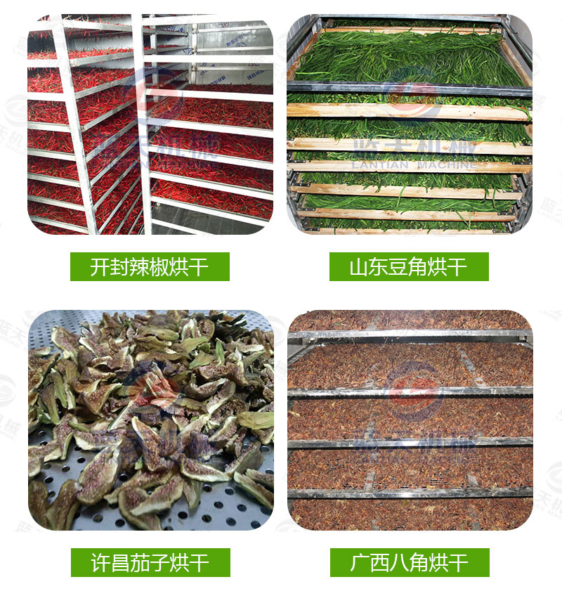  大蒜片網(wǎng)帶烘干機(jī)廠家實拍