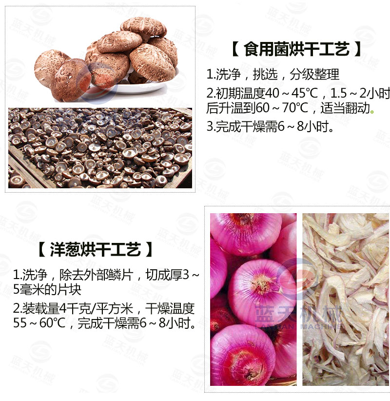 木耳網(wǎng)帶烘干機(jī)常見(jiàn)蔬菜烘干工藝