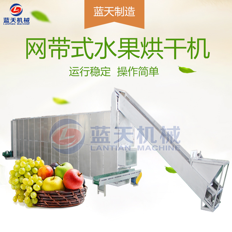 水果片網(wǎng)帶烘干機