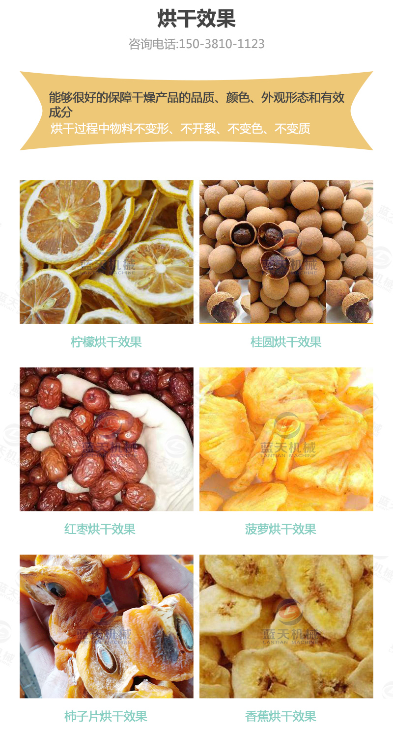 水果片網(wǎng)帶烘干機烘干效果