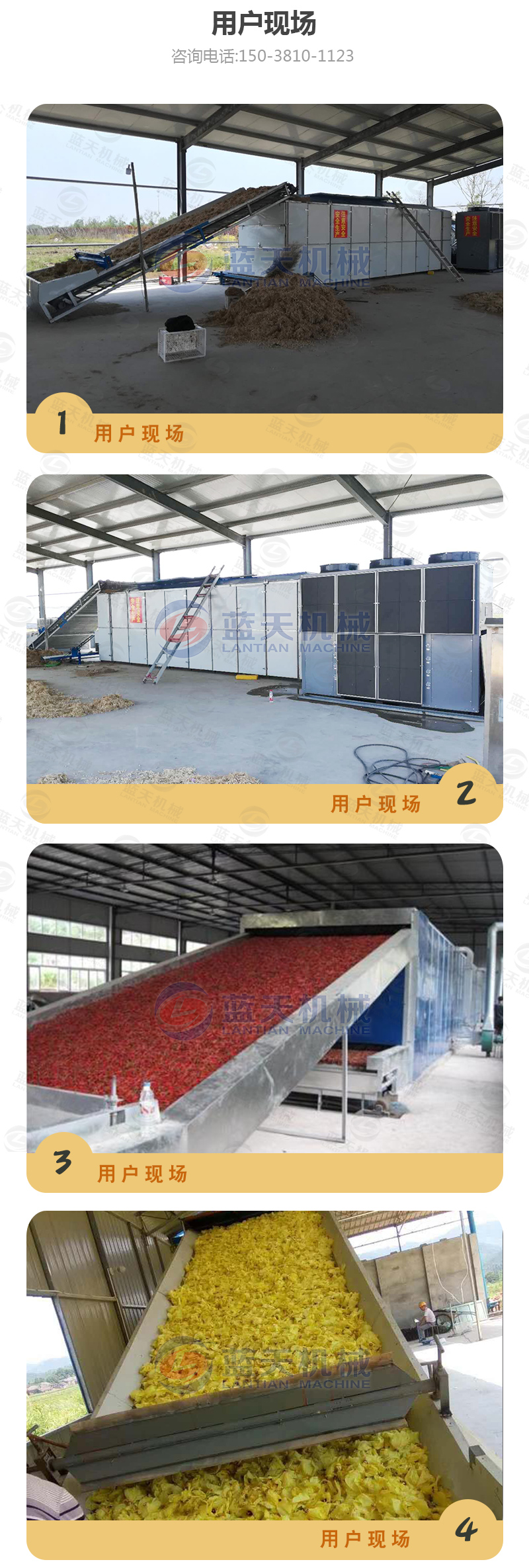 大棗網(wǎng)帶烘干機(jī)用戶現(xiàn)場