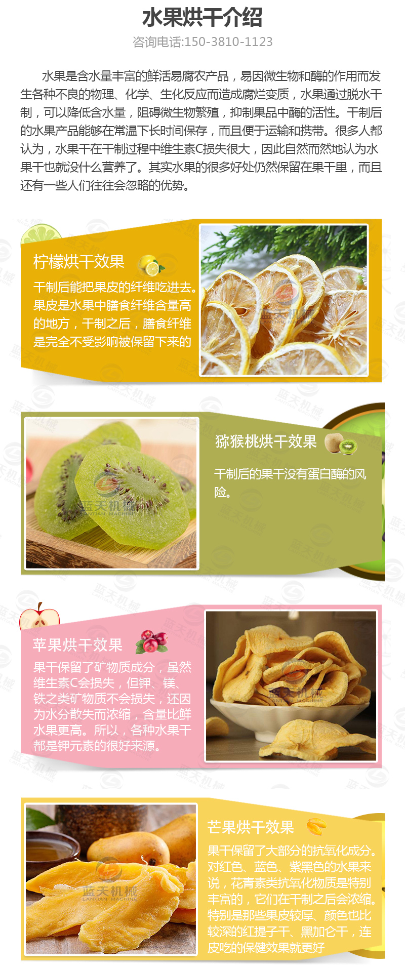 水果片網(wǎng)帶烘干機介紹