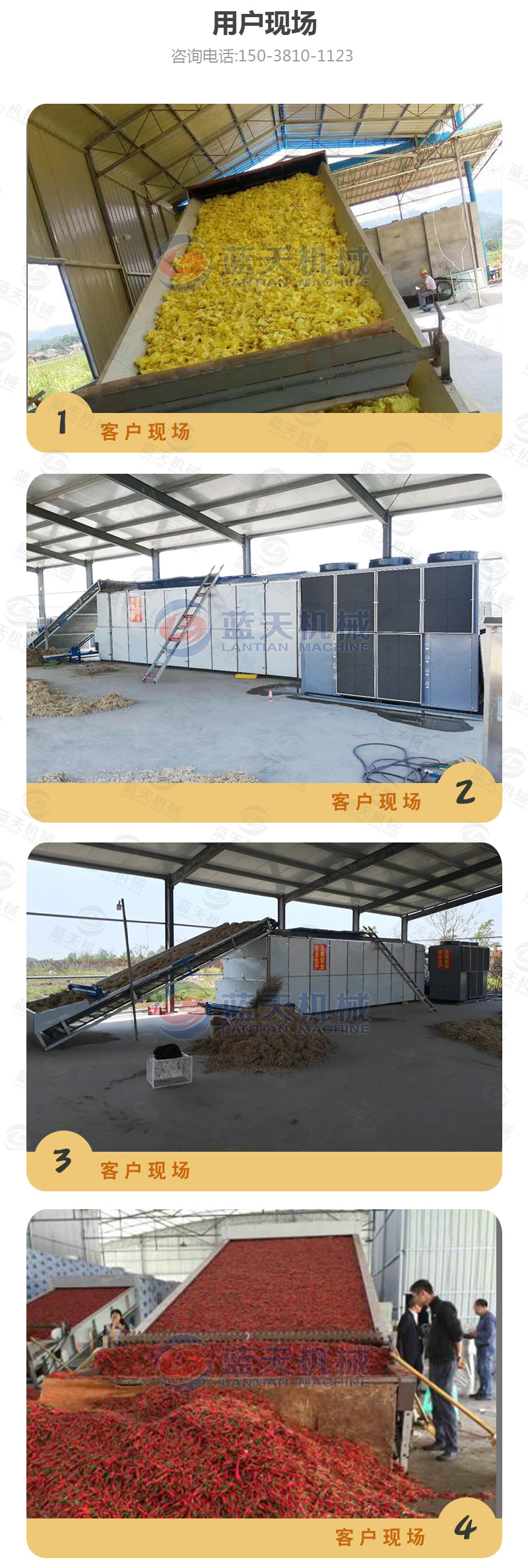山藥片網(wǎng)帶式烘干機(jī)用戶(hù)現(xiàn)場(chǎng)
