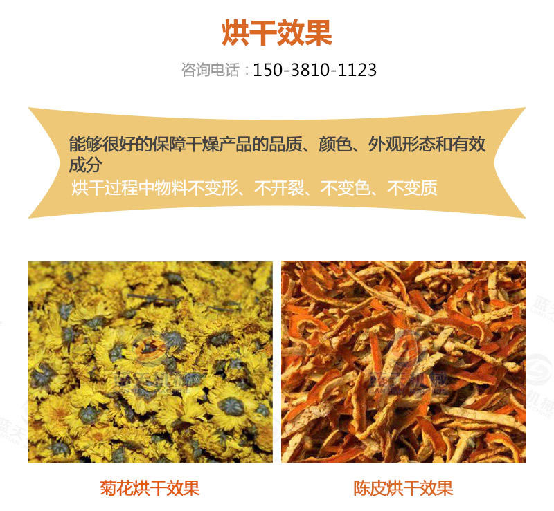 陳皮網(wǎng)帶式烘干機(jī)烘干效果