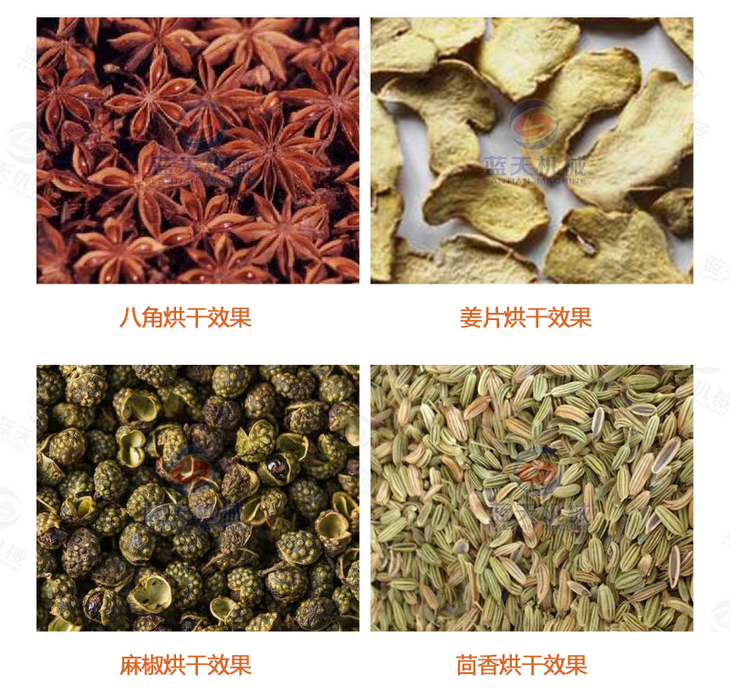 陳皮網(wǎng)帶式烘干機(jī)烘干效果
