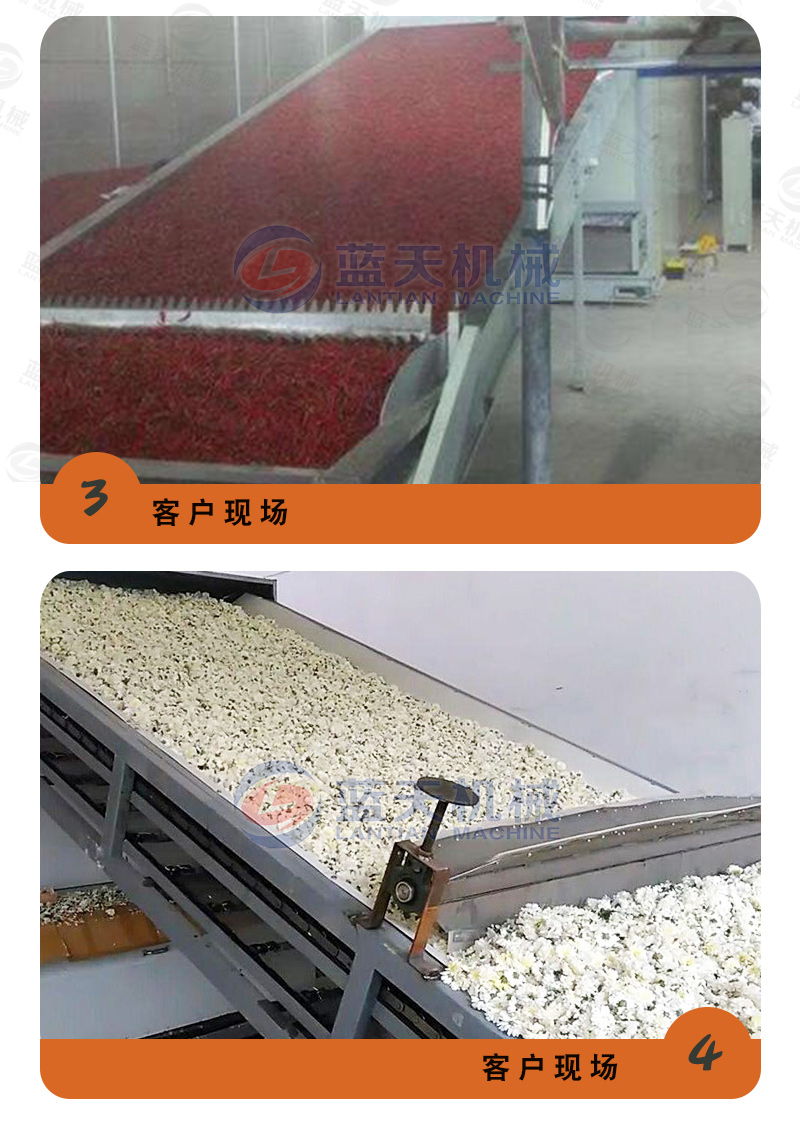 陳皮網(wǎng)帶式烘干機(jī)用戶現(xiàn)場
