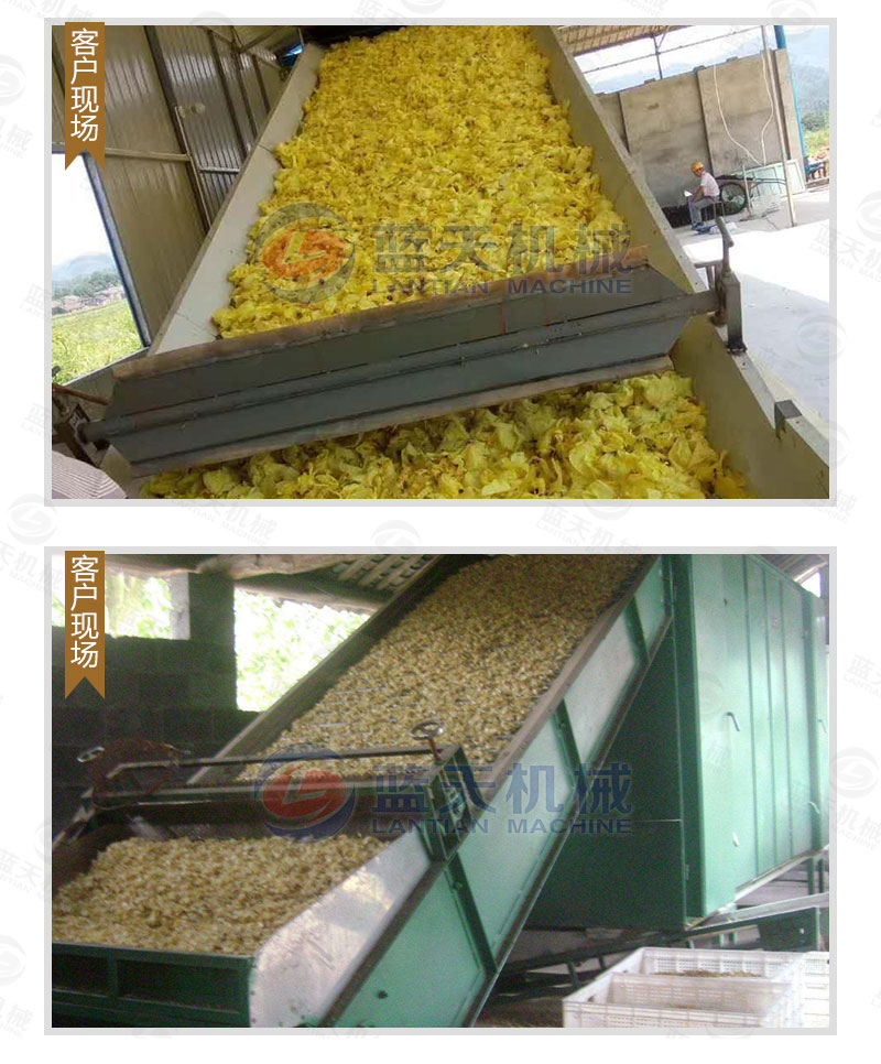 黃蜀葵網(wǎng)帶式烘干機(jī)用戶現(xiàn)場