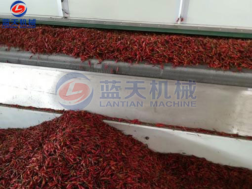 湖南辣椒網(wǎng)帶烘干機客戶現(xiàn)場