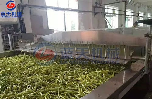 山西黃花菜網帶烘干機客戶現場